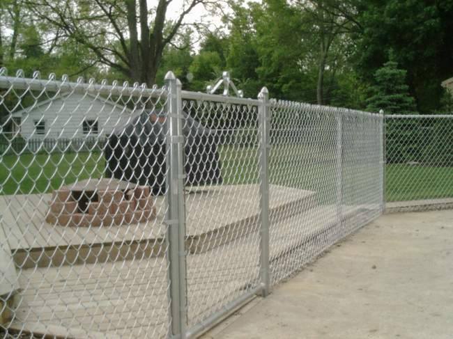 Chain Link Fence